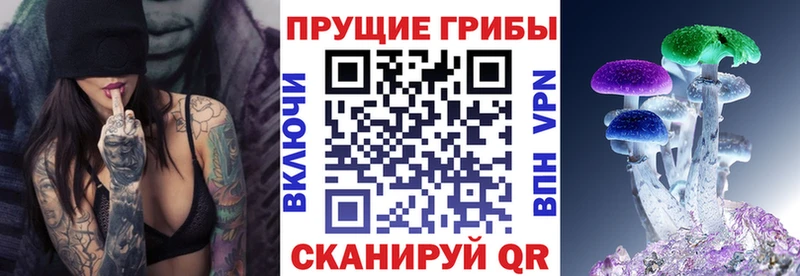 Галлюциногенные грибы Cubensis купить наркоту Алупка